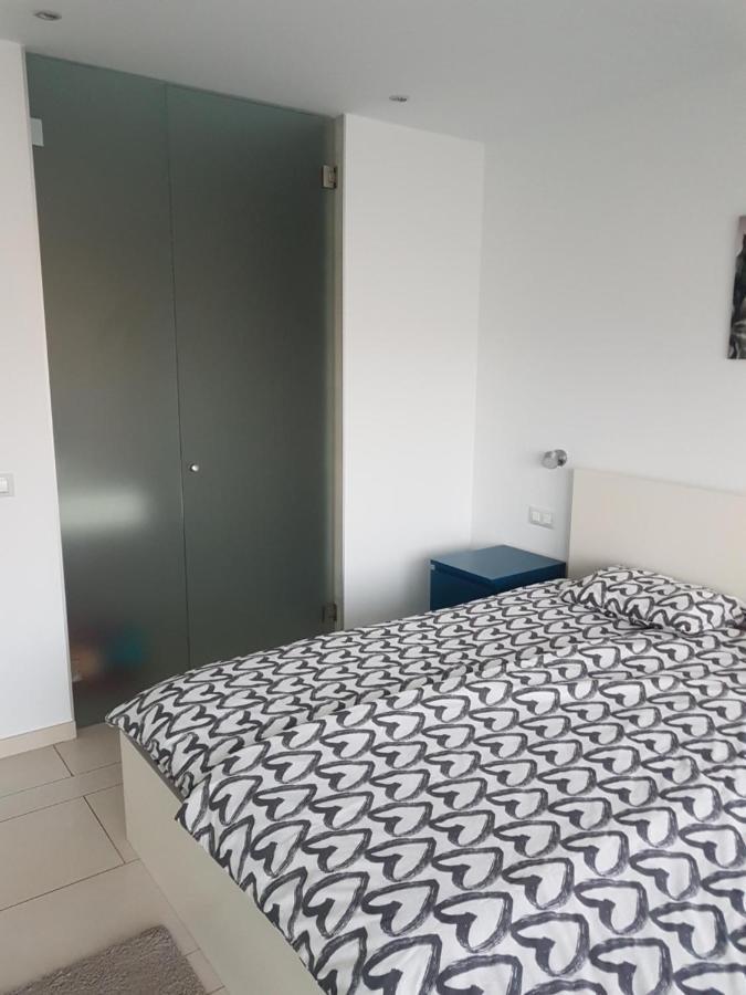 Apartment Tenerife Sur Palm-mar Kültér fotó